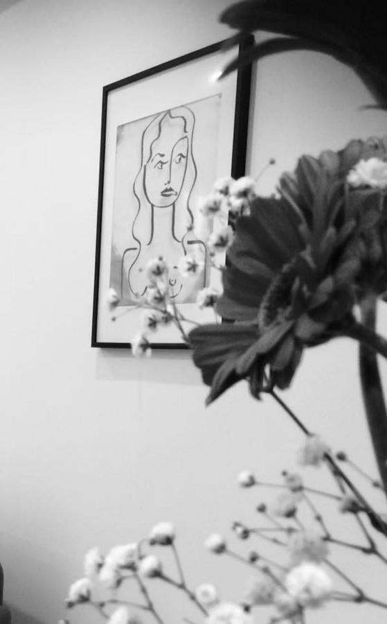 Carnot Chic Apartment Каркасон Екстериор снимка